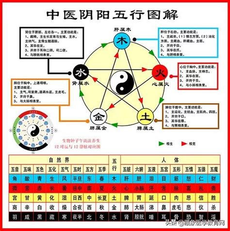 中醫五行歸類表|中醫基礎/五行學說